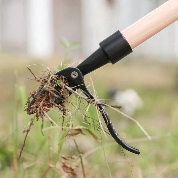 Ergonomic Garden Weeder with 4-Prong Root Extraction