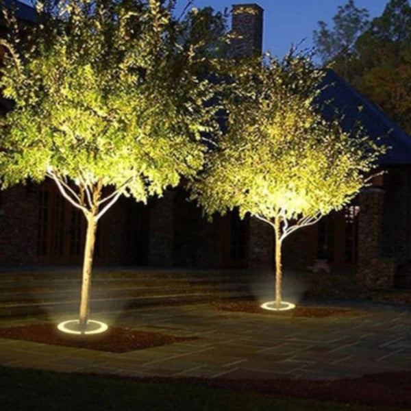 Outdoor LED Spotlight for Stunning Garden Illumination