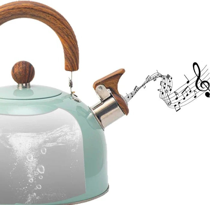 Elegant Stainless Steel Whistling Kettle for All Stoves