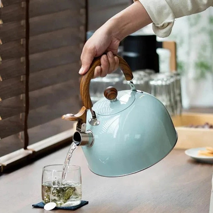 Elegant Stainless Steel Whistling Kettle for All Stoves