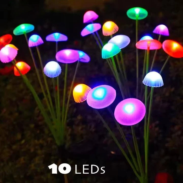 Enchanting Solar Light for Gardens with Colorful LED Effects