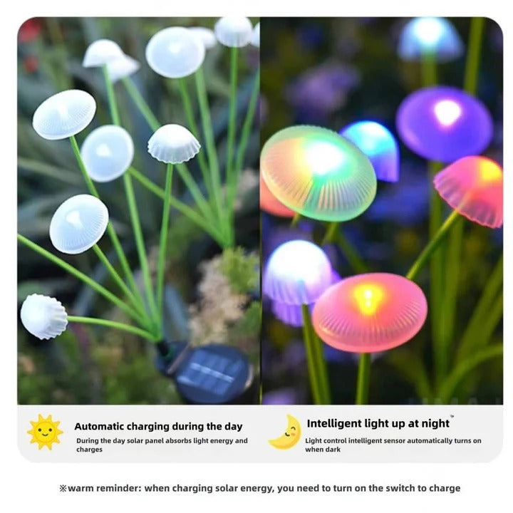 Enchanting Solar Light for Gardens with Colorful LED Effects