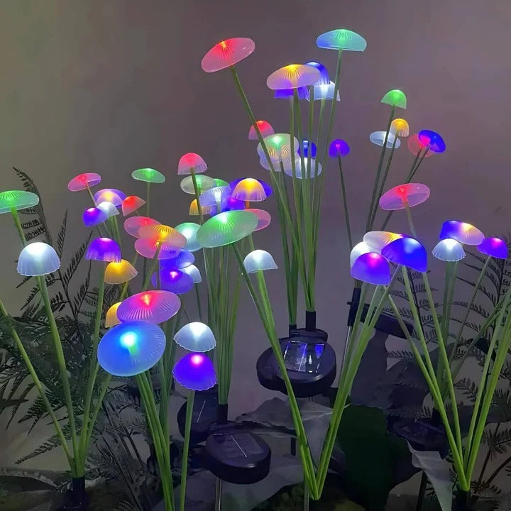 Enchanting Solar Light for Gardens with Colorful LED Effects