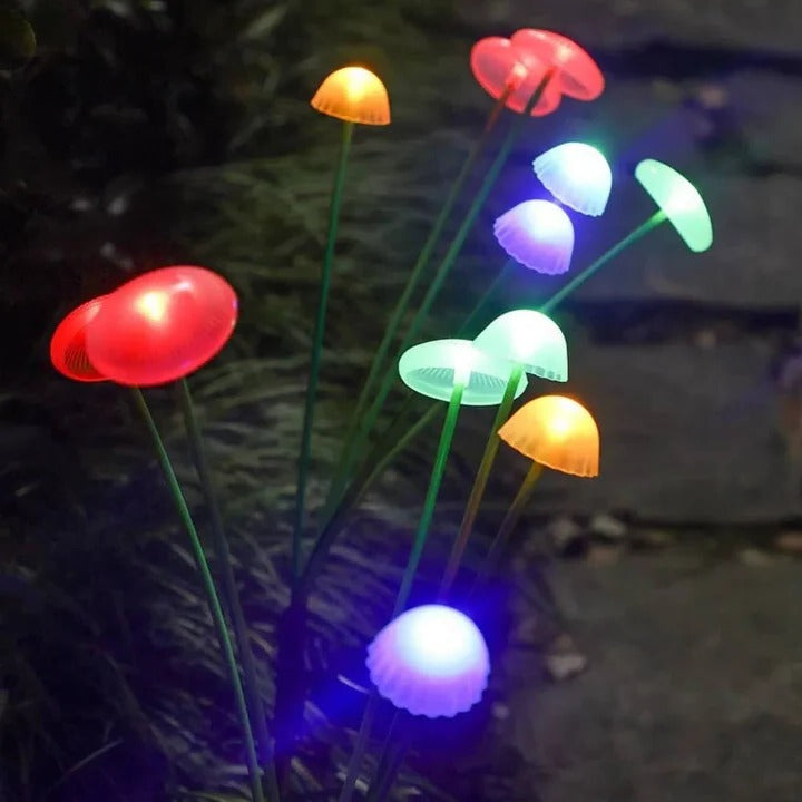 Enchanting Solar Light for Gardens with Colorful LED Effects