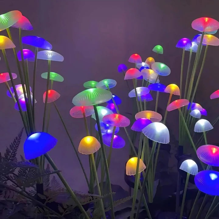 Enchanting Solar Light for Gardens with Colorful LED Effects