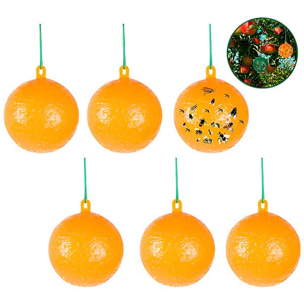 Eco-Friendly Hanging Insect Catcher, Pack of 6