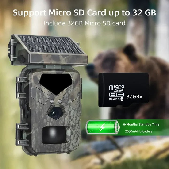 Eco-Friendly Trail Camera with Solar Power and 20MP Imaging
