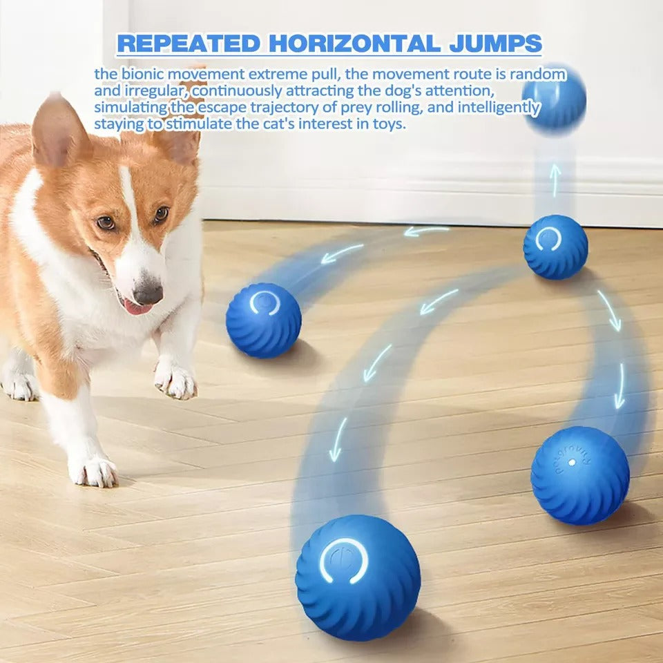 Interactive Motion Ball Toy for Pets and Fidget Lovers