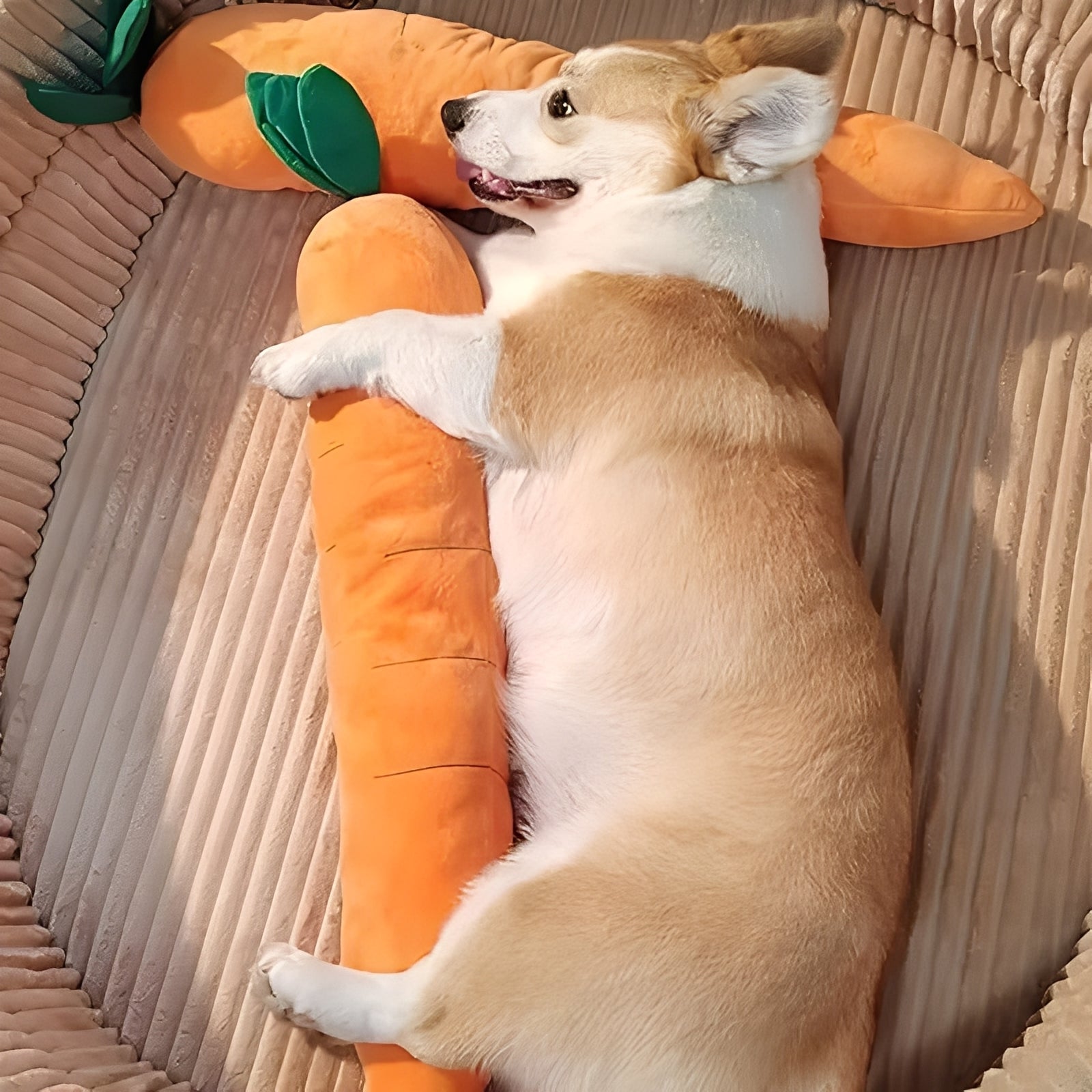 Soft Carrot-Shaped Plush Toy with Squeaker for Dogs