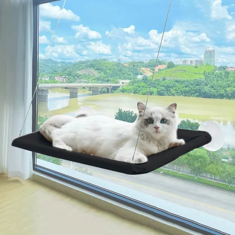 Elevated Cat Perch for Windows with Strong Suction Cups
