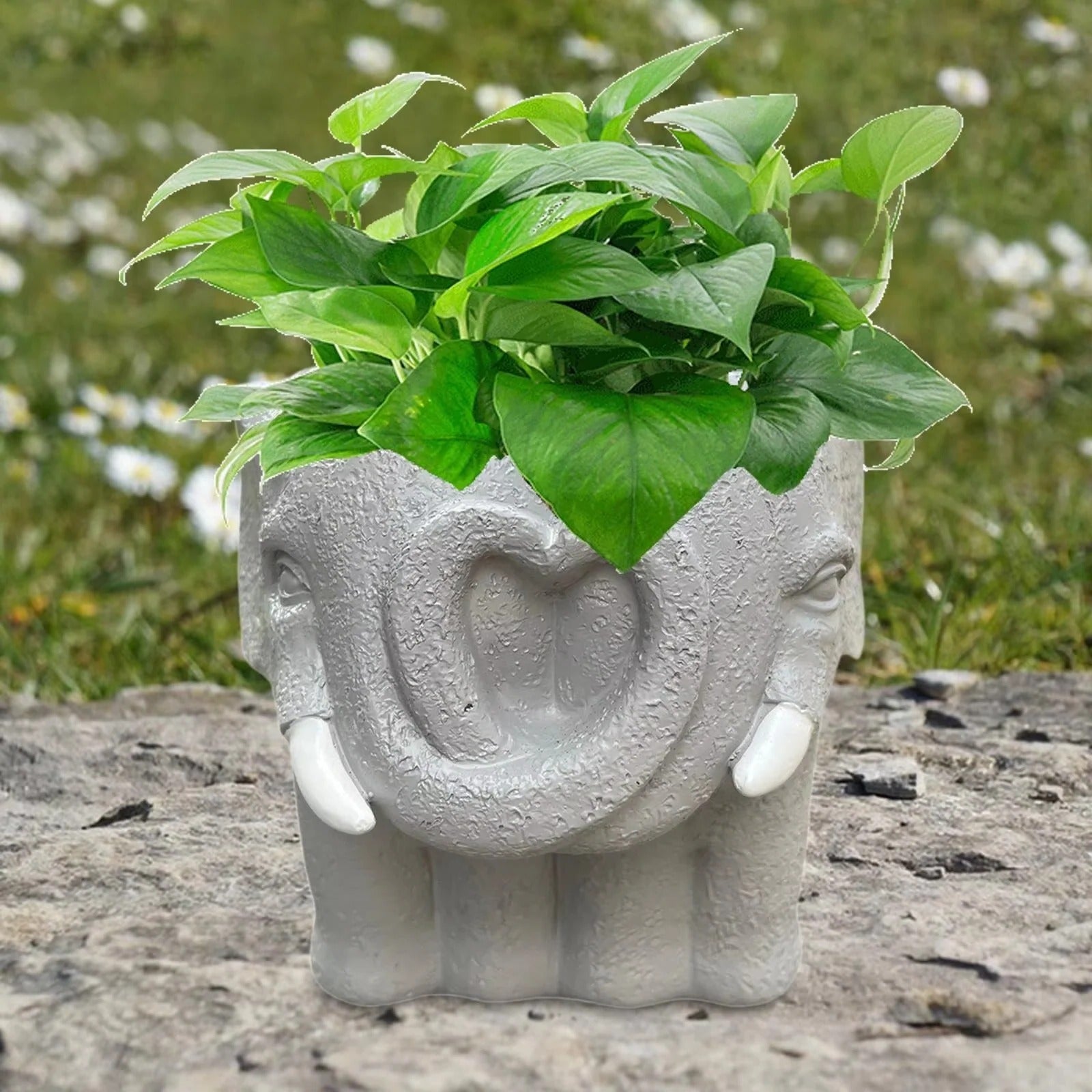 Charming Miniature Planter for Succulents and Home Decor