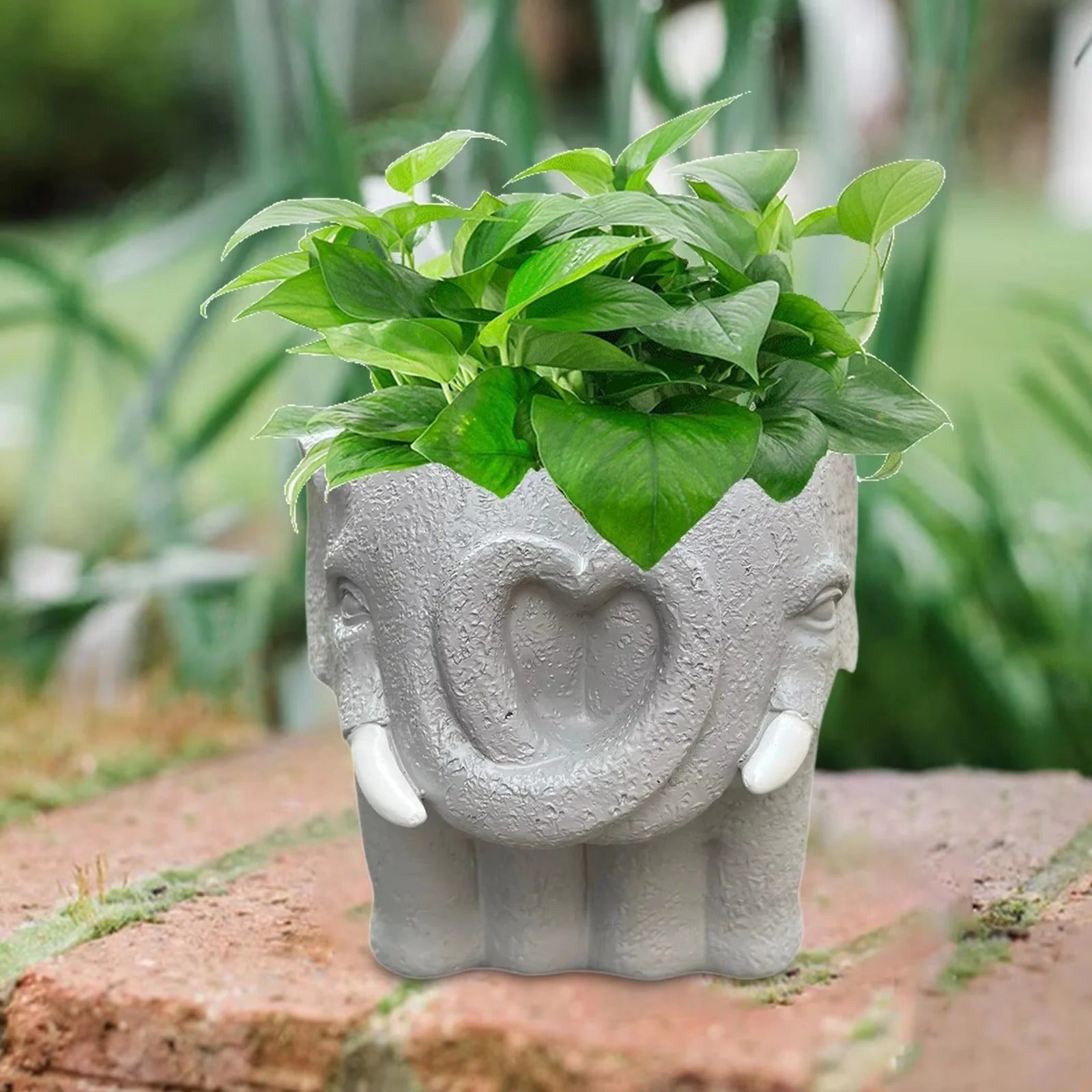 Charming Miniature Planter for Succulents and Home Decor