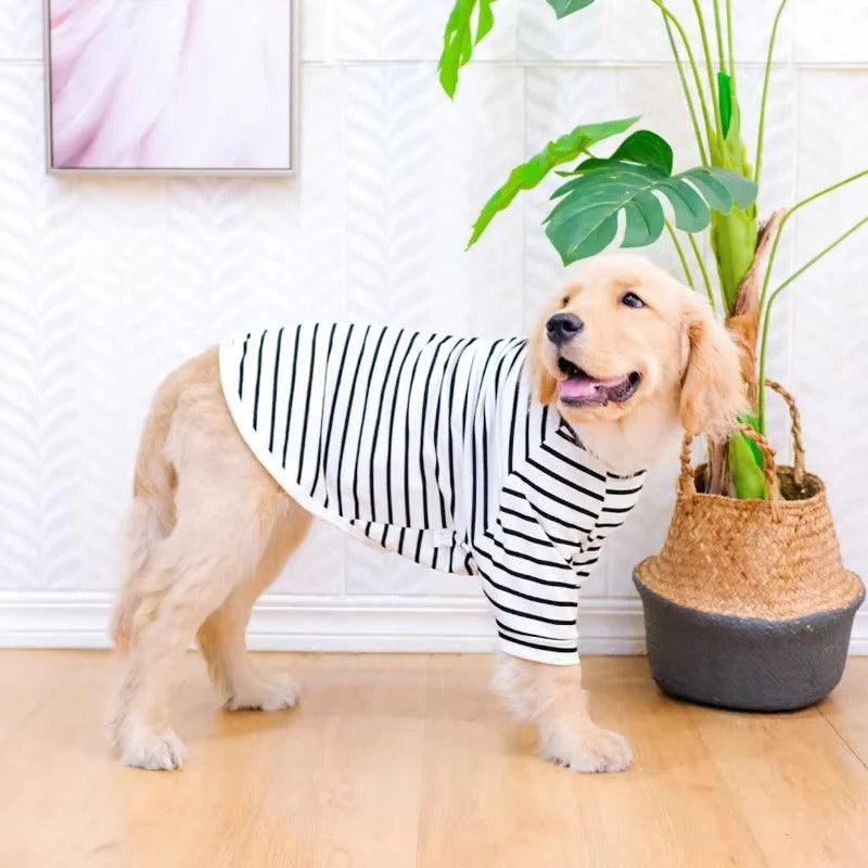 Breathable Summer Dog Tee with Stylish Stripes