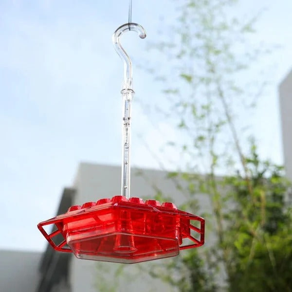 Attractive Hummingbird Feeder with Ant Protection