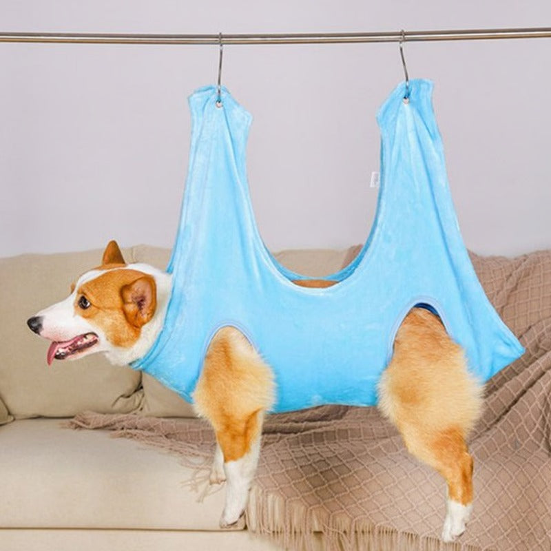 Comfortable Grooming Solution for Dogs and Cats