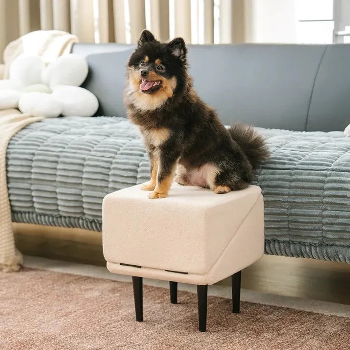 Multi-Functional Pet Access Ramp and Step Ladder