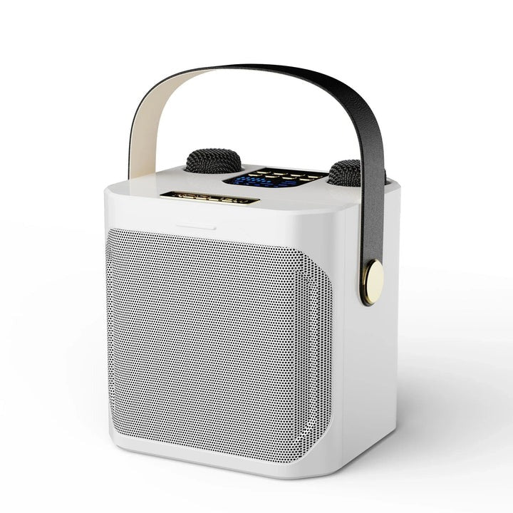 All-in-One Karaoke Speaker with Immersive 360° Sound