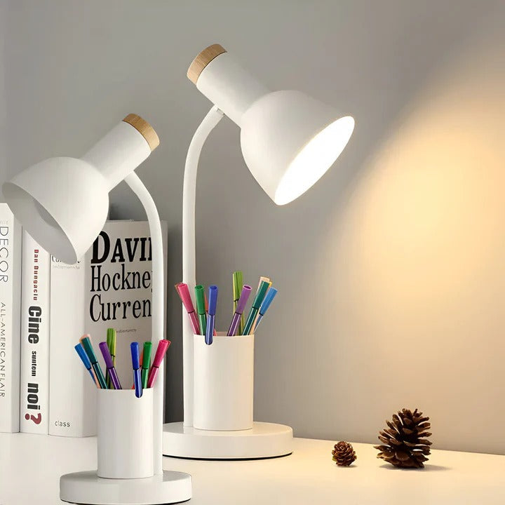 Illuminate Pro Adjustable Desk Lamp with Handy Storage