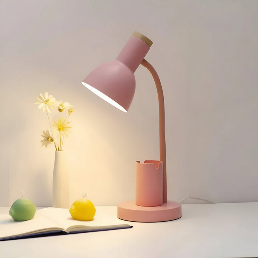 Illuminate Pro Adjustable Desk Lamp with Handy Storage