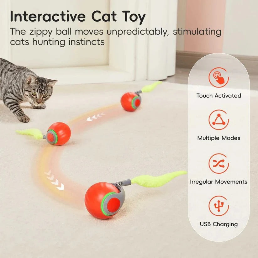 Dynamic Rolling Cat Play Balls - 2 Piece Set for Indoor Fun