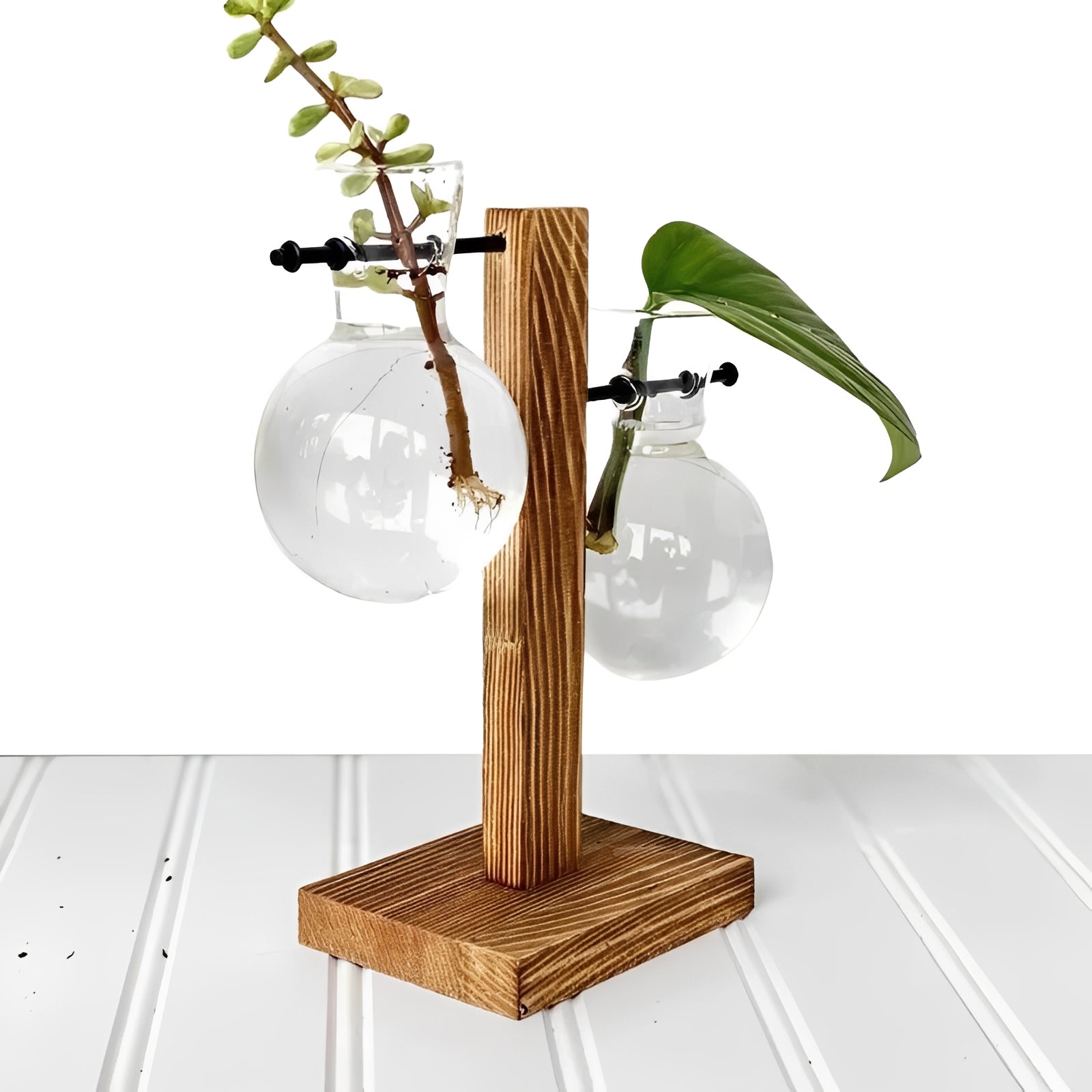 Elegant Hydroponic Vase with Natural Wood Stand