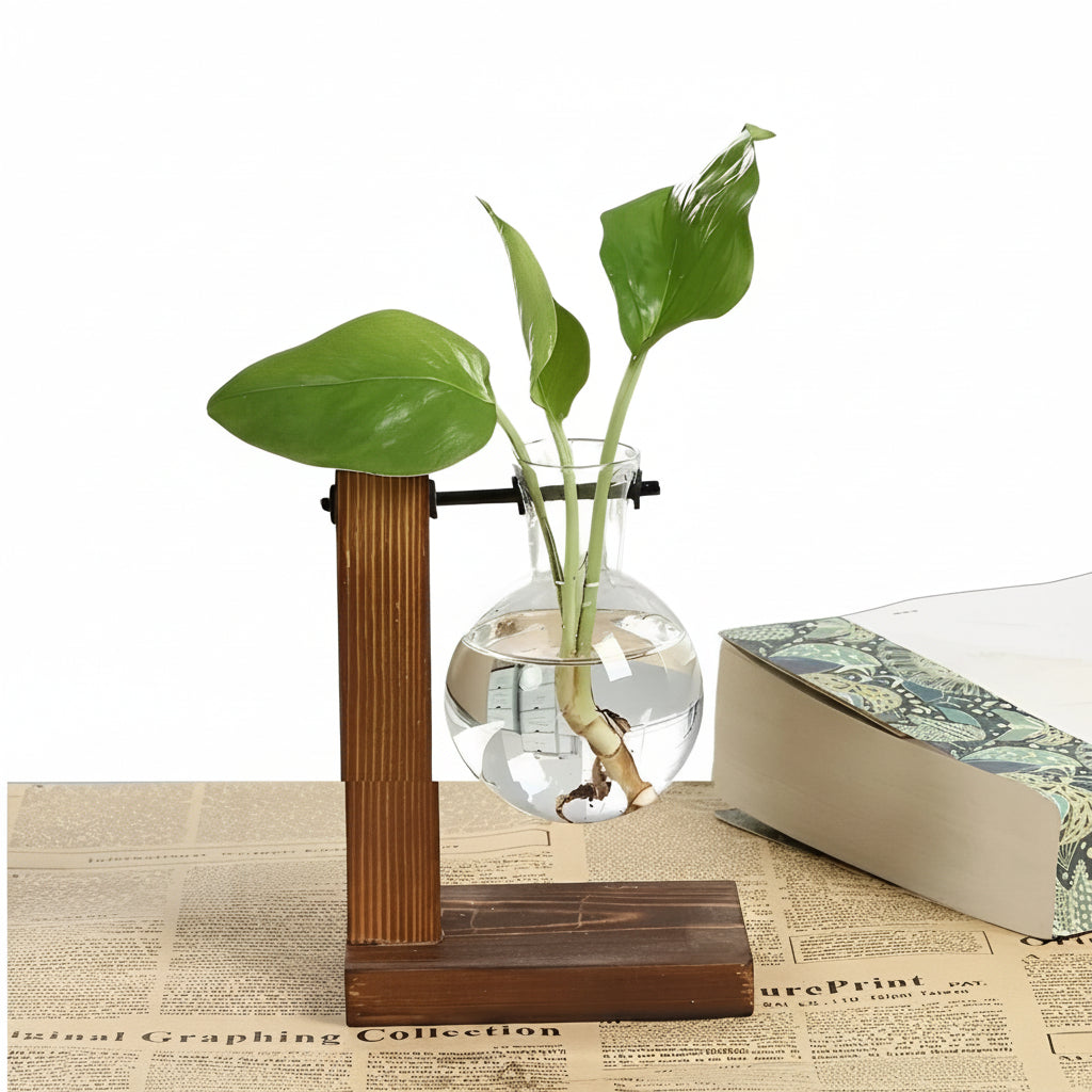 Elegant Hydroponic Vase with Natural Wood Stand
