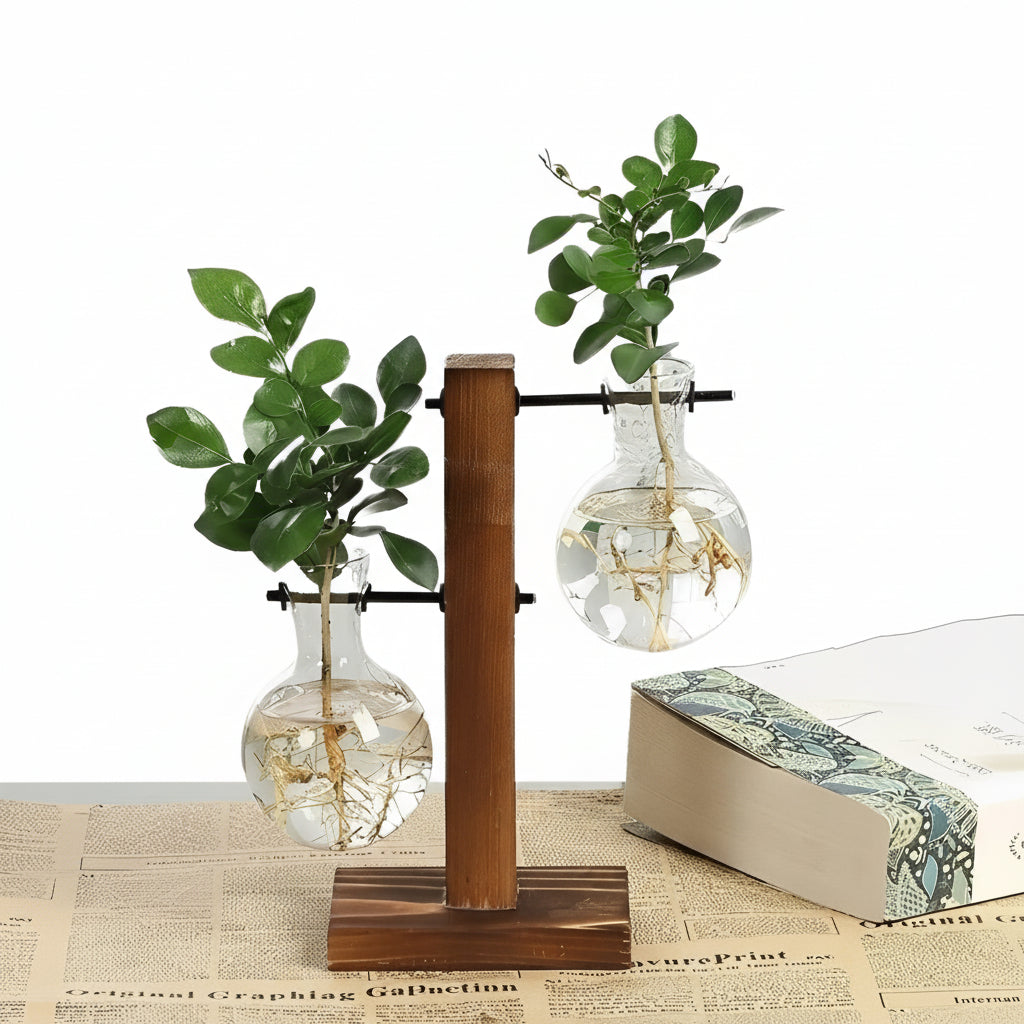 Elegant Hydroponic Vase with Natural Wood Stand