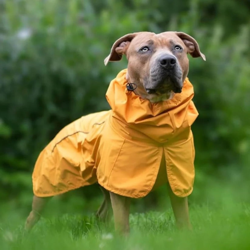 All-Weather Reflective Dog Raincoat for Ultimate Protection