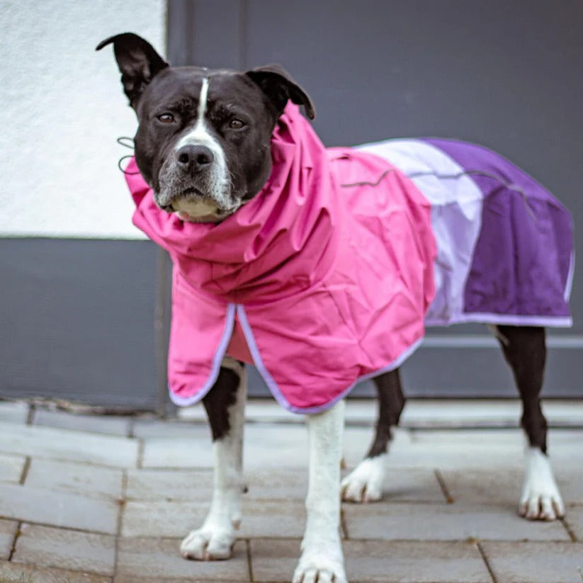 All-Weather Reflective Dog Raincoat for Ultimate Protection