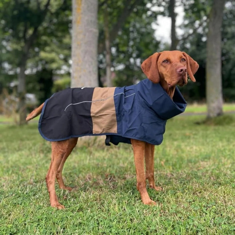 All-Weather Reflective Dog Raincoat for Ultimate Protection