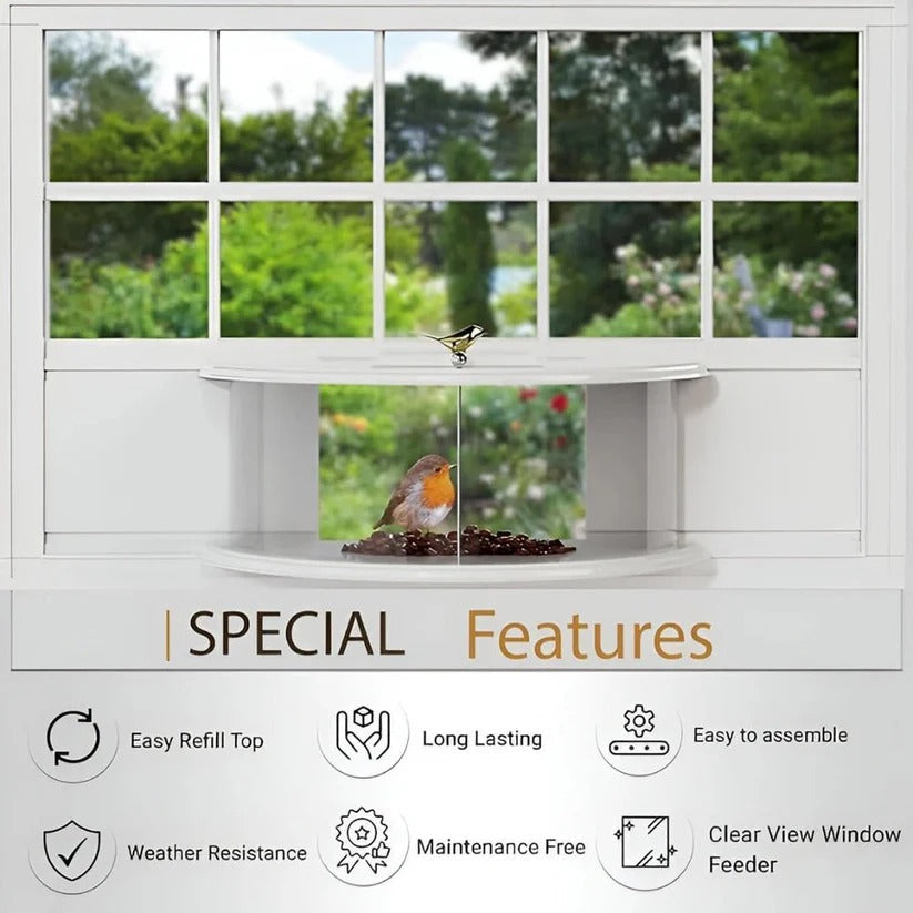 Transparent Window Bird Feeder with Easy Suction Cup Setup
