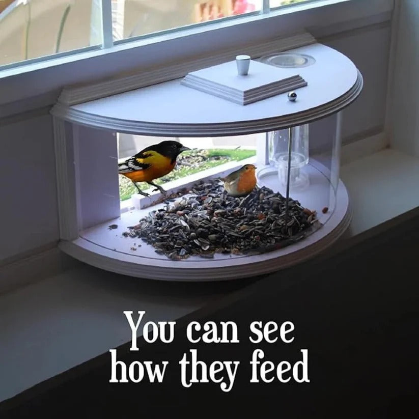 Transparent Window Bird Feeder with Easy Suction Cup Setup