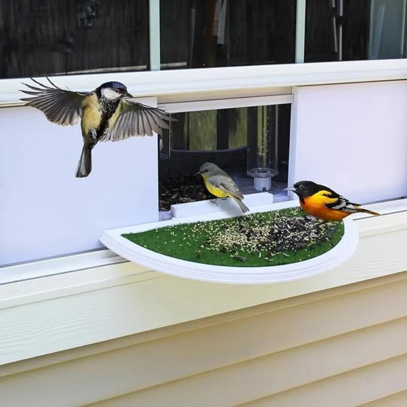 Transparent Window Bird Feeder with Easy Suction Cup Setup