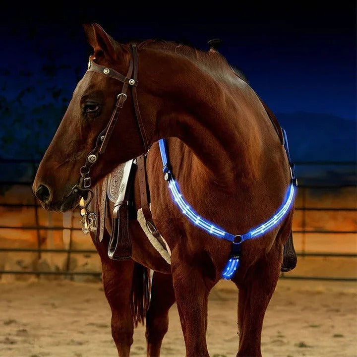 Illuminate Your Ride: Smart LED Horse Safety Collar