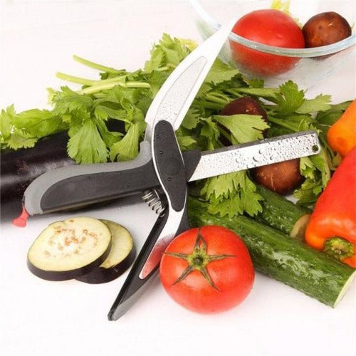 Dual Function Food Slicer and Chopper