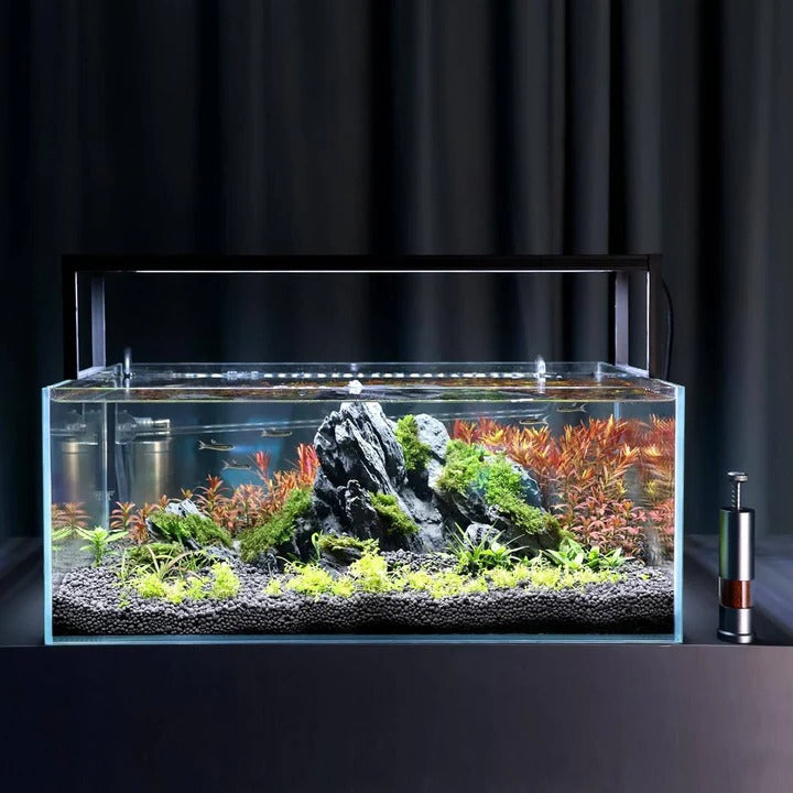 Precision Fish Feeder with Space-Saving Design