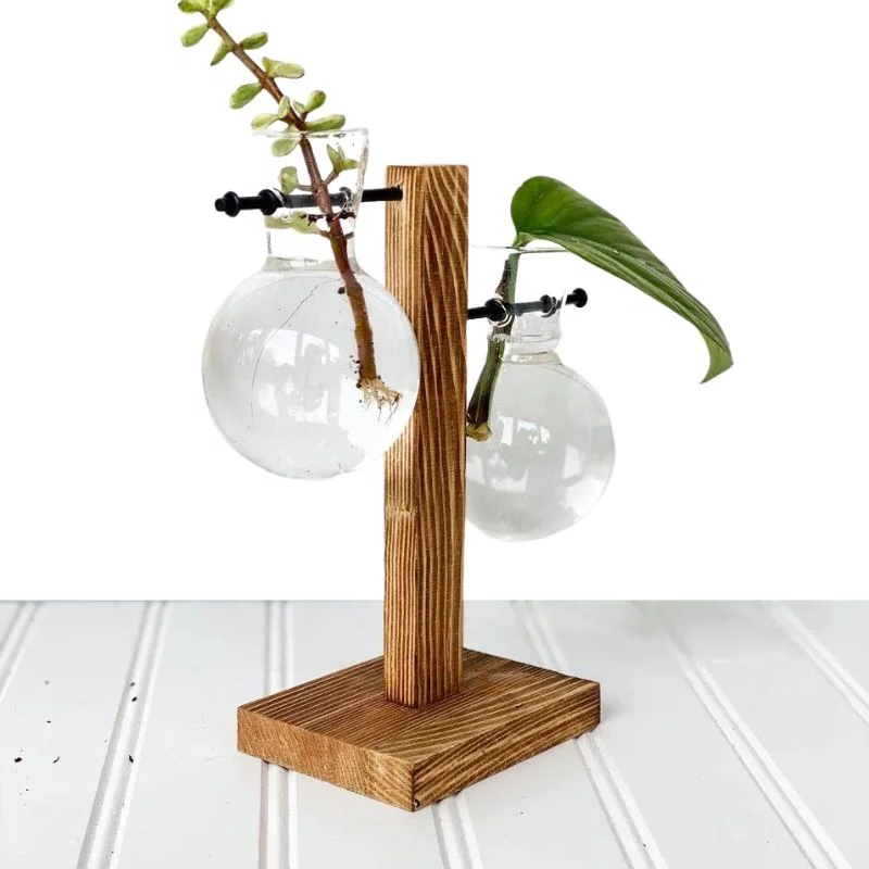 Hydroponic Plant Vase with Wooden Frame