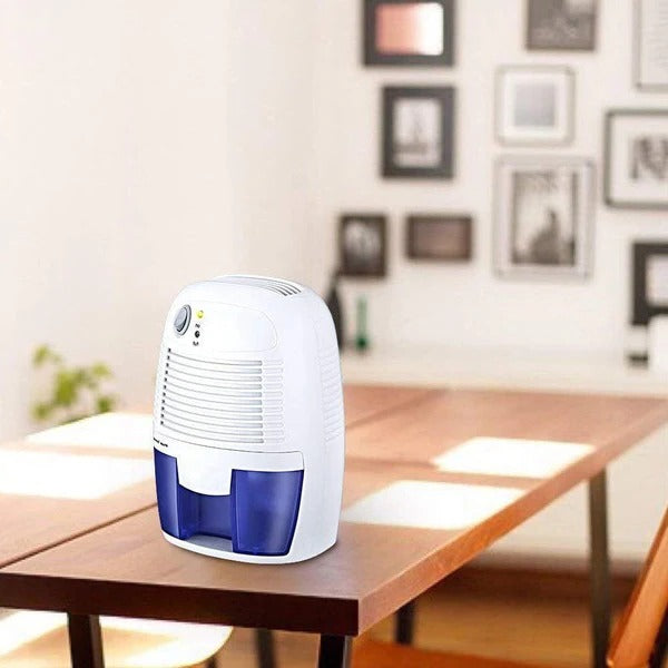 Compact Home Dehumidifier for Basement, Garage, and Crawl Spaces