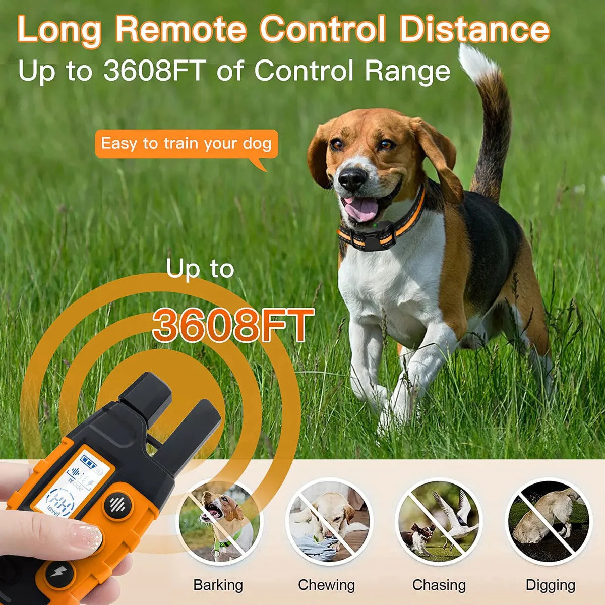 Electronic Collar for Remote Dog Training