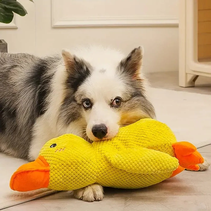 Soothe Your Pup with the Cozy Quack Companion