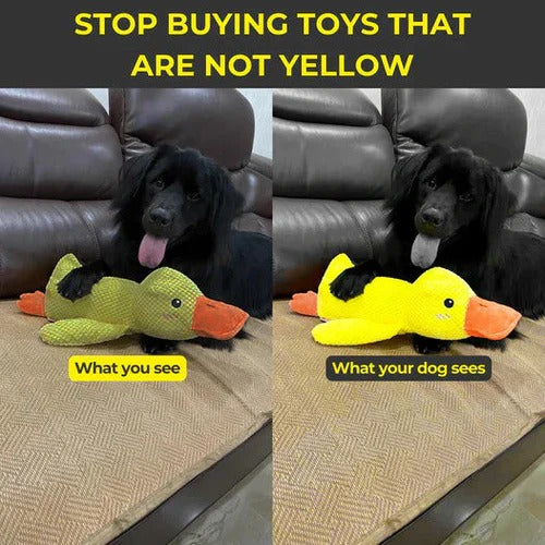 Soothe Your Pup with the Cozy Quack Companion