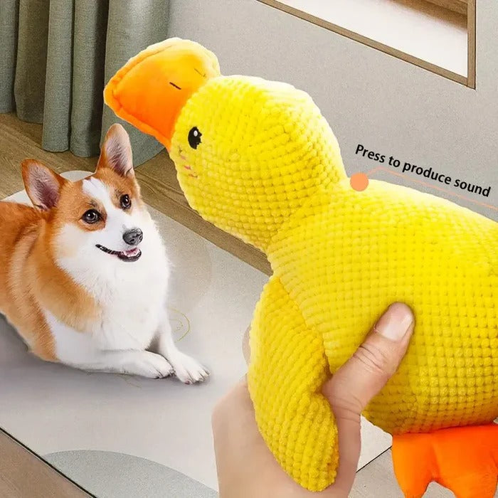 Soothe Your Pup with the Cozy Quack Companion