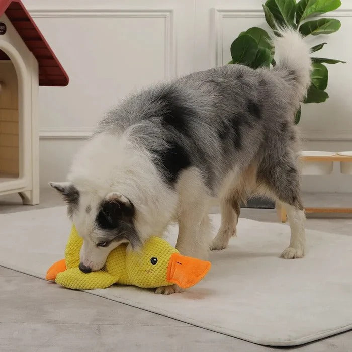 Soothe Your Pup with the Cozy Quack Companion