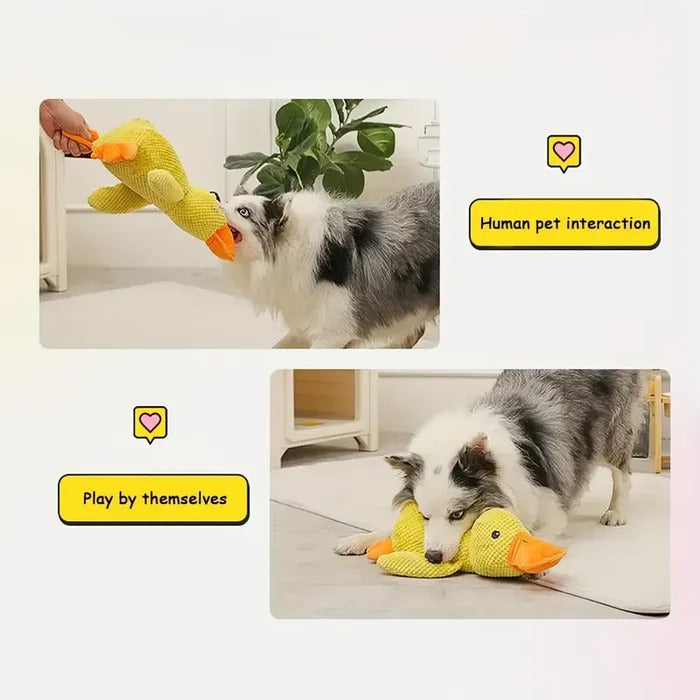 Soothe Your Pup with the Cozy Quack Companion