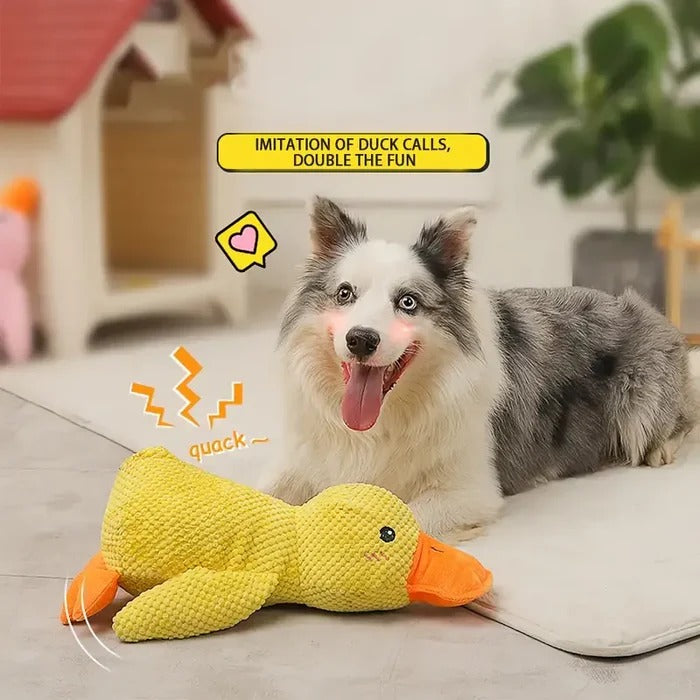 Soothe Your Pup with the Cozy Quack Companion