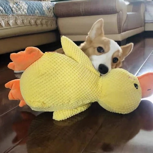 Soothe Your Pup with the Cozy Quack Companion