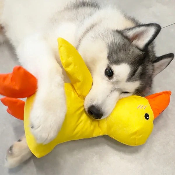 Soothe Your Pup with the Cozy Quack Companion