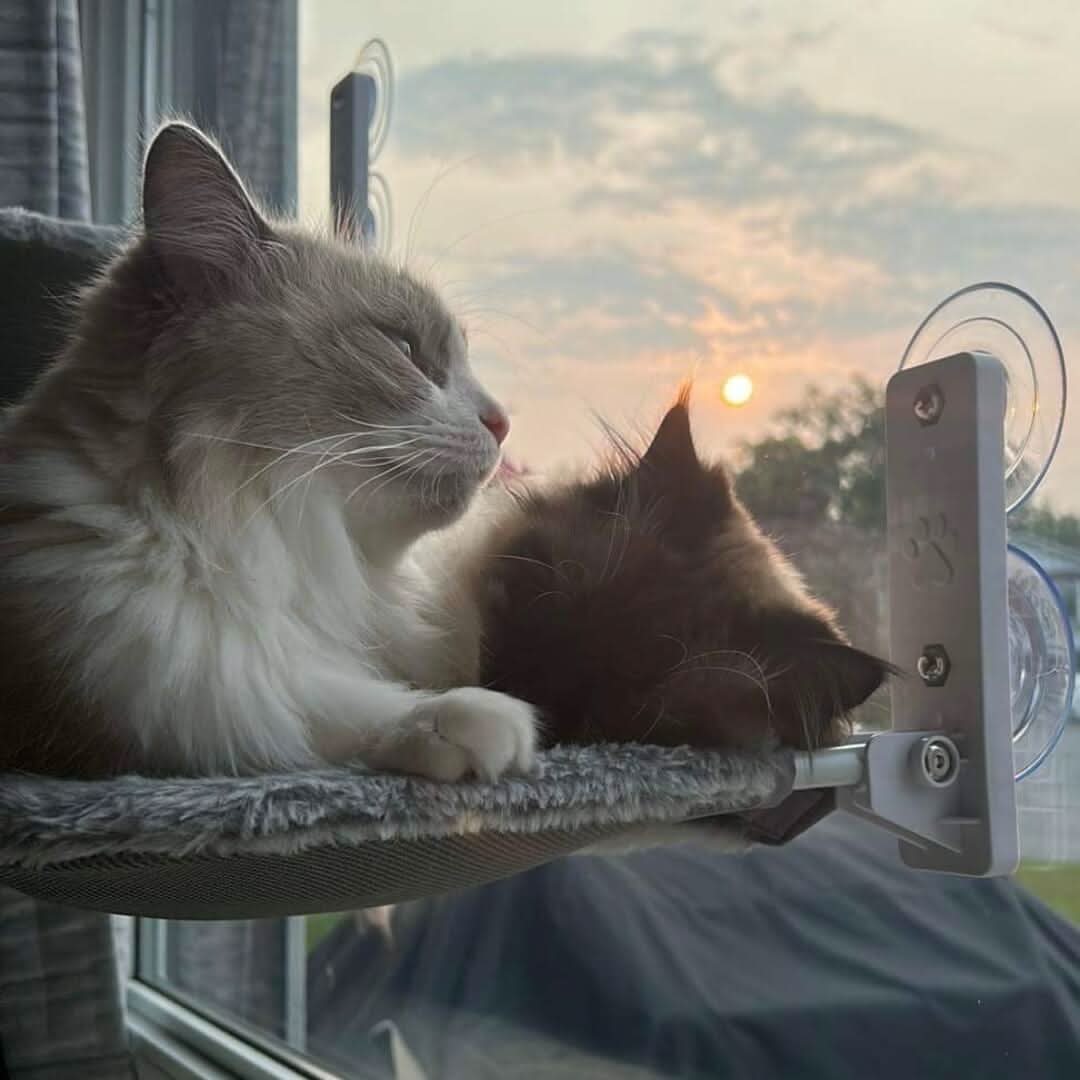 SunnyVista Adjustable Cat Hammock for Windows and Walls