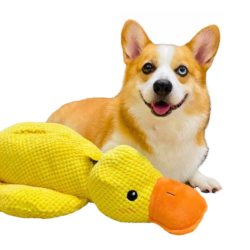 Durable Quacking Duck Chew Toy for Dogs