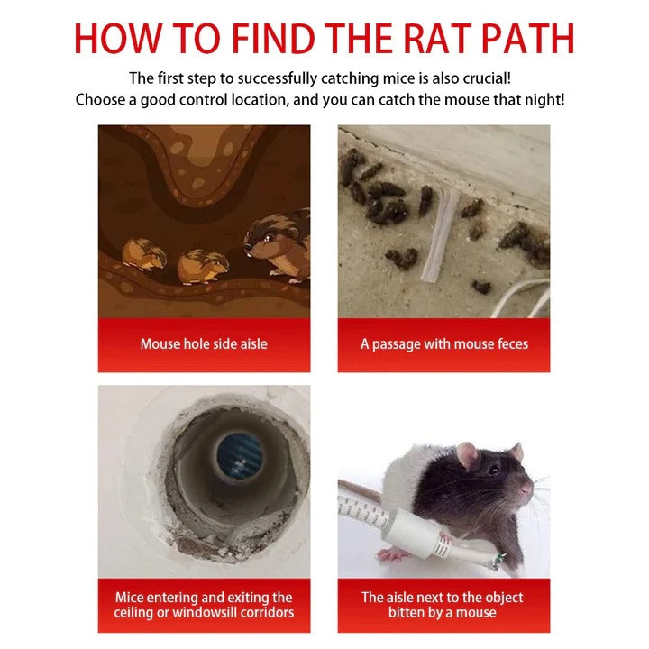 Eco-Friendly Rodent Trap with Easy Access Design